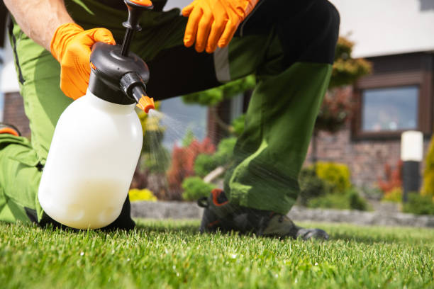 Best Affordable Pest Control Services  in Sulphur Springs, TX