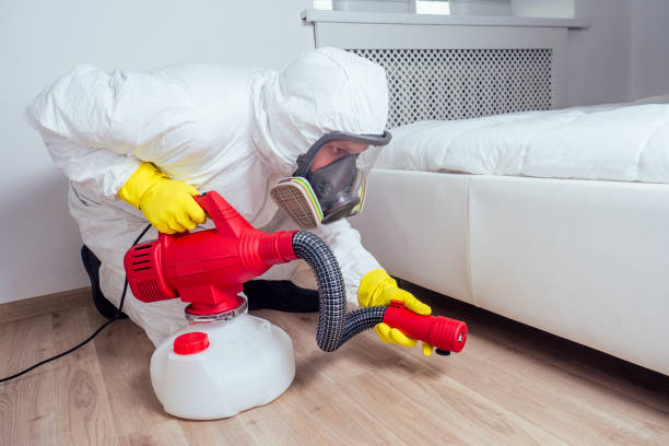 Best Residential Pest Control  in Sulphur Springs, TX